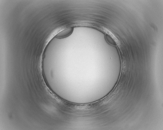 X0000116391386200912231101