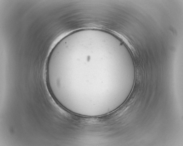 X0000116391387200912231101