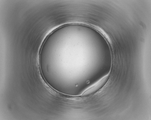 X0000116391388200912231101