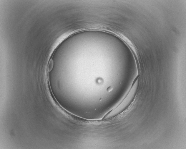 X0000116391389200912231101