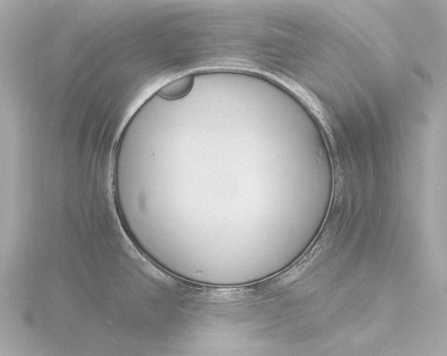 X0000116391390200912231101