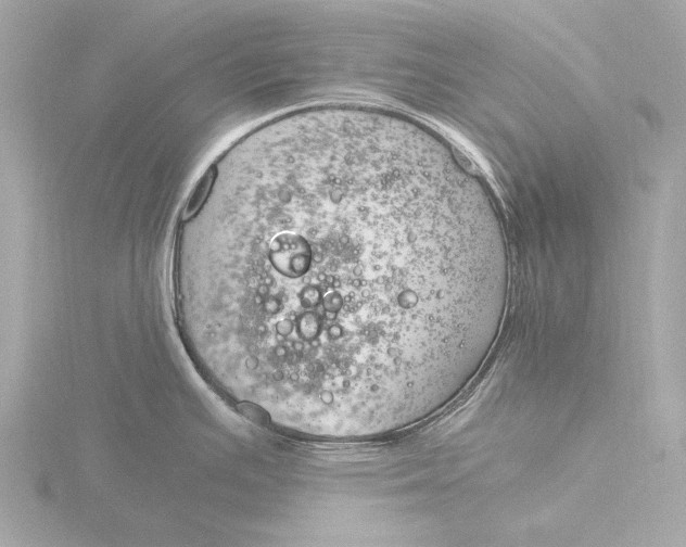 X0000116391391200912231101