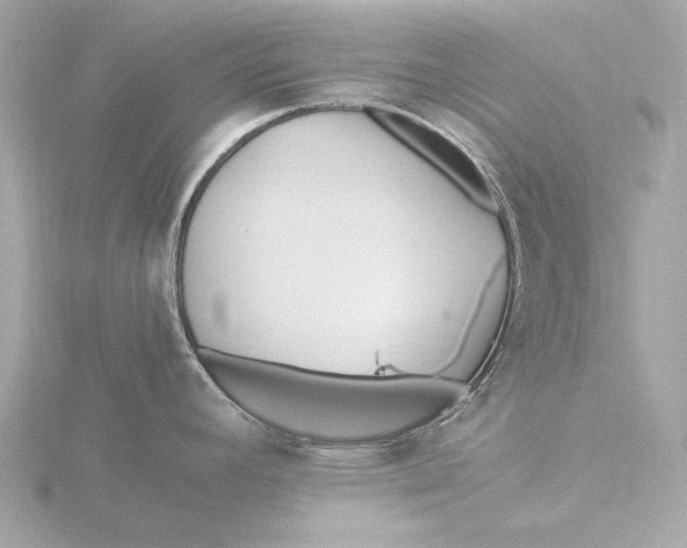 X0000116391392200912231101