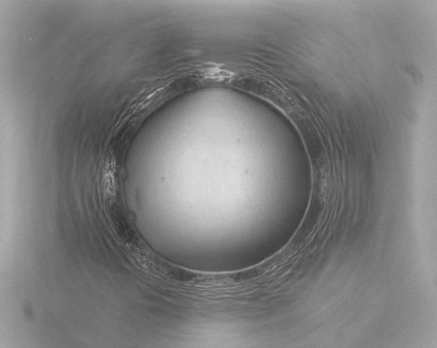 X0000116391394200912231100