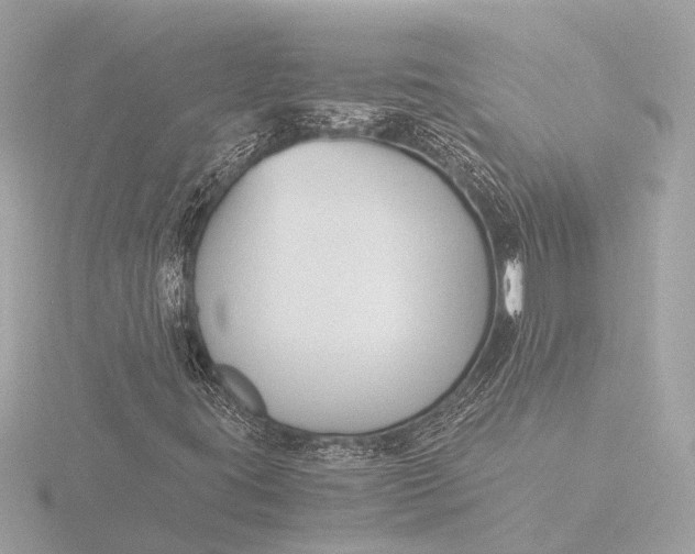 X0000116391395200912231100