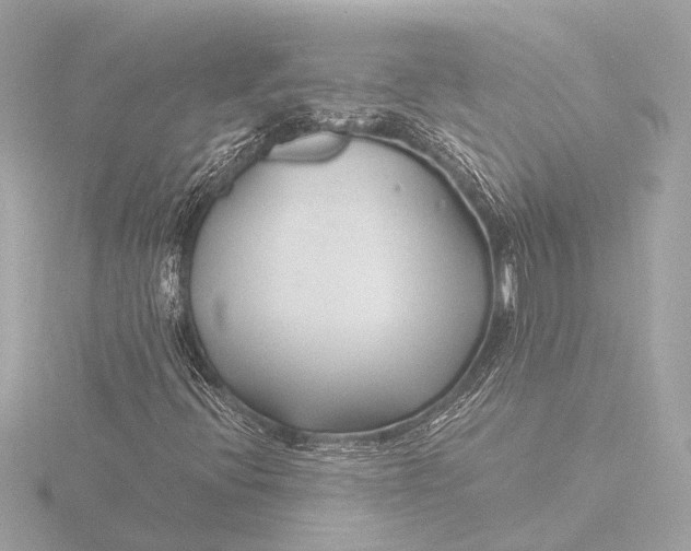 X0000116391396200912231100