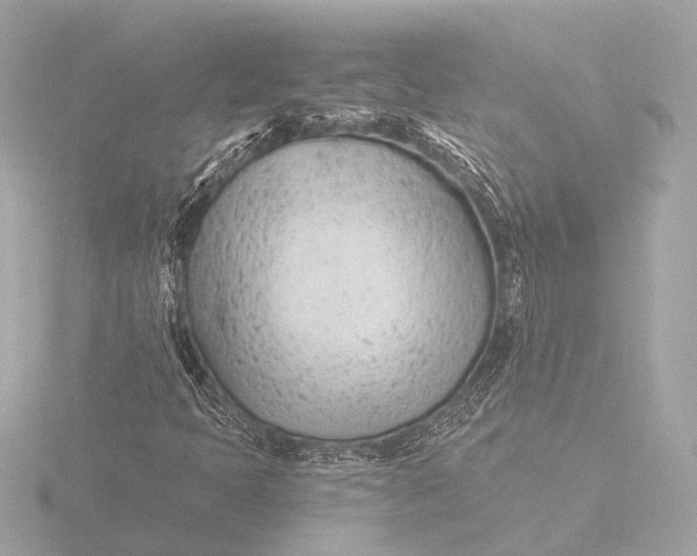 X0000116391397200912231100