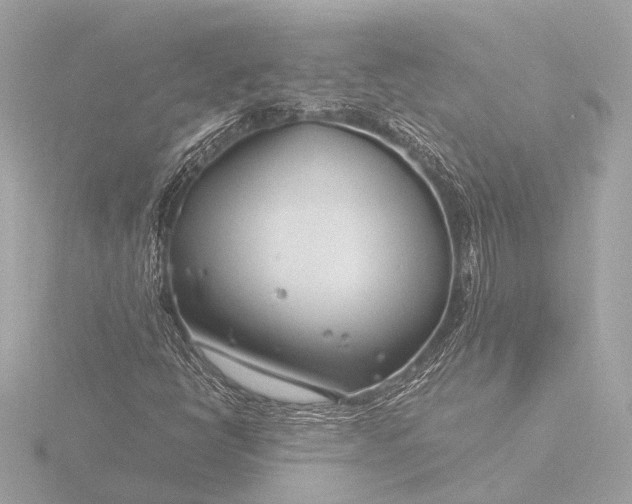 X0000116391398200912231100