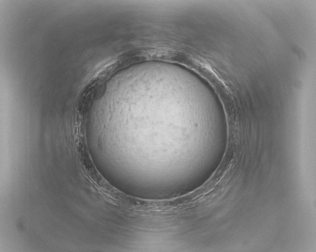 X0000116391399200912231100