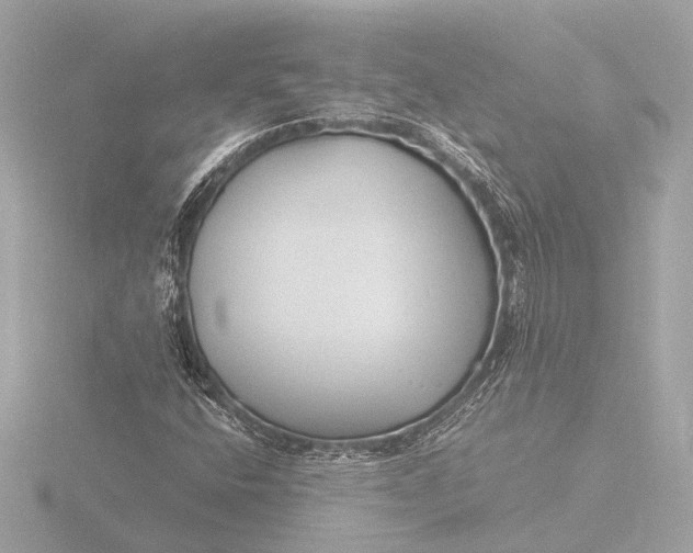 X0000116391400200912231100