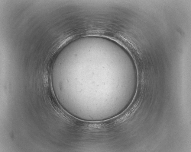 X0000116391401200912231100