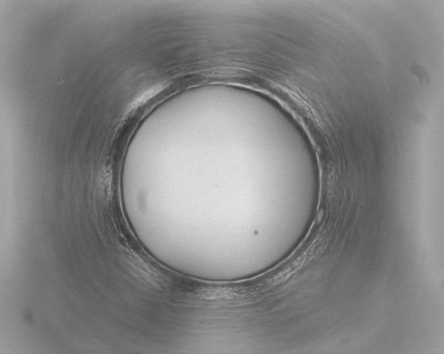 X0000116391402200912231100