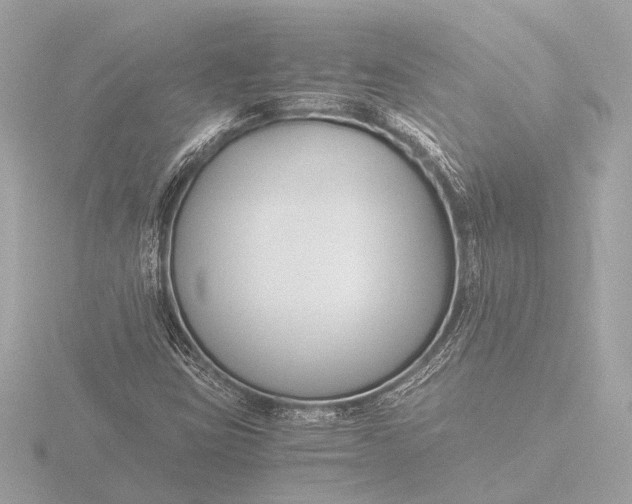 X0000116391403200912231100