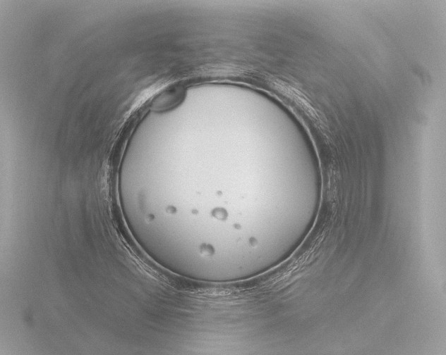 X0000116391404200912231100