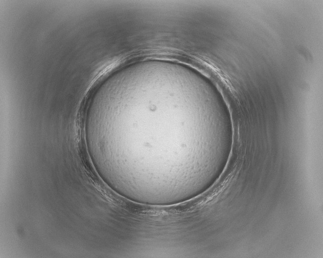 X0000116391405200912231100