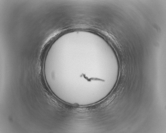 X0000116391406200912231100