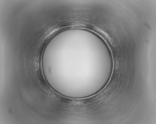 X0000116391407200912231100