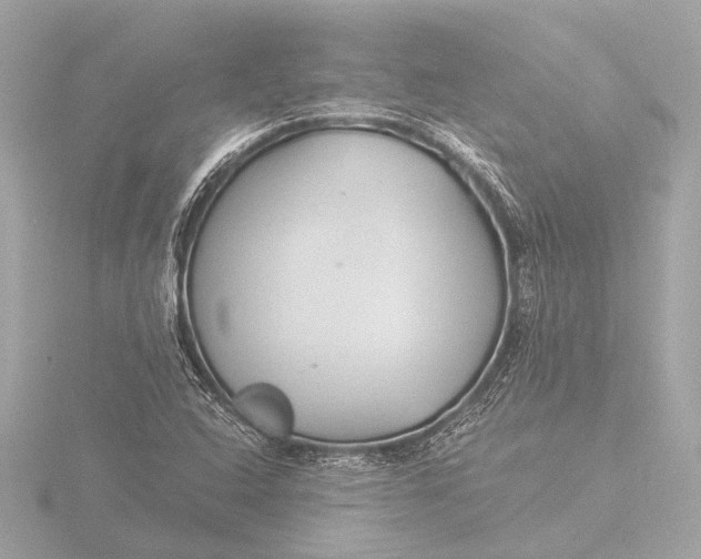 X0000116391408200912231100