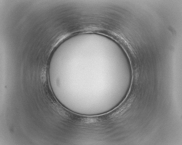 X0000116391409200912231100