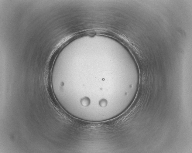 X0000116391410200912231100