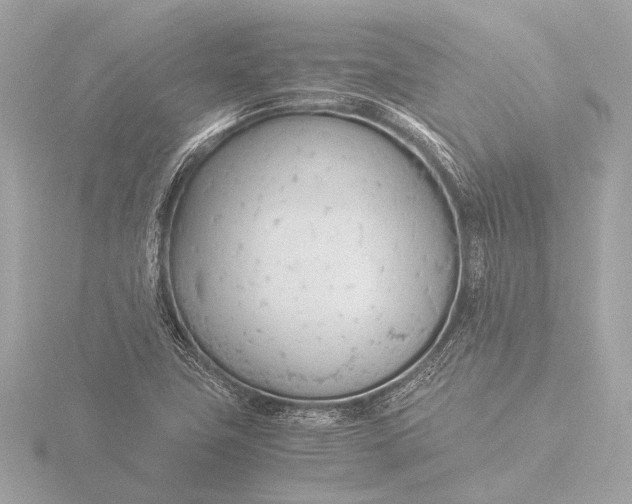 X0000116391411200912231100