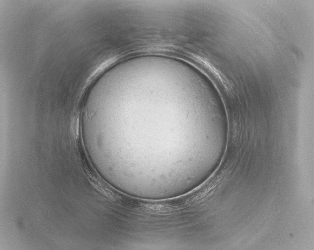 X0000116391413200912231100