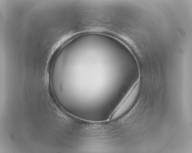 X0000116391414200912231100