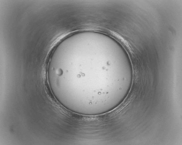 X0000116391415200912231100