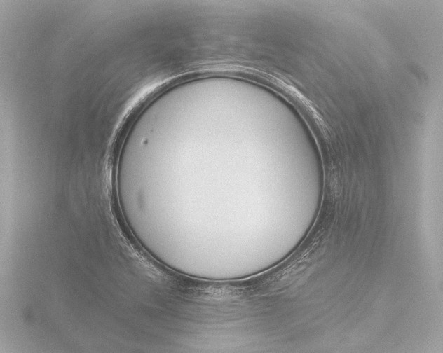 X0000116391416200912231100