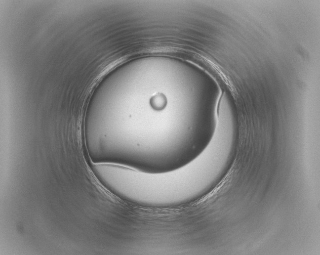 X0000116391417200912231100