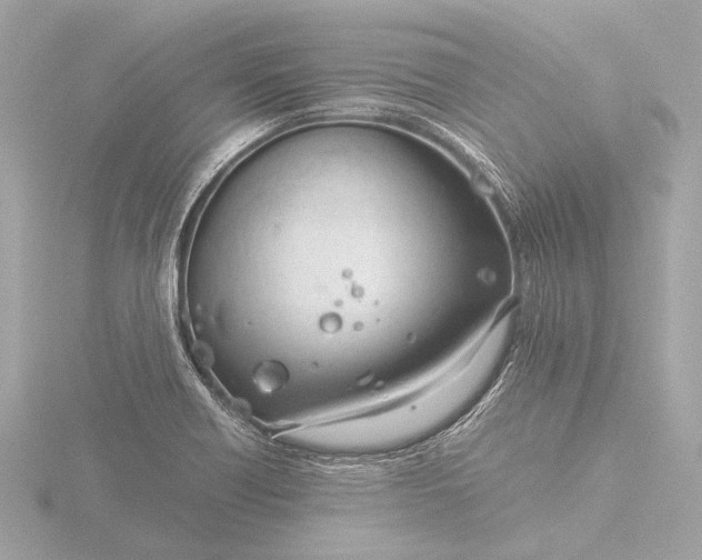 X0000116391418200912231100