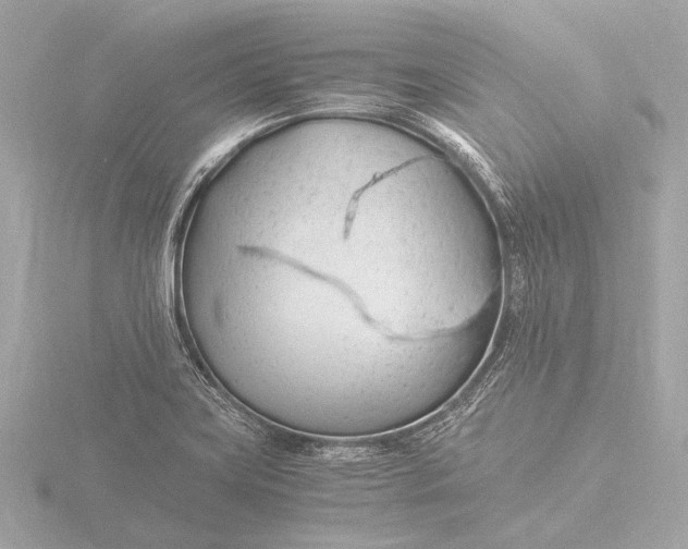 X0000116391419200912231100