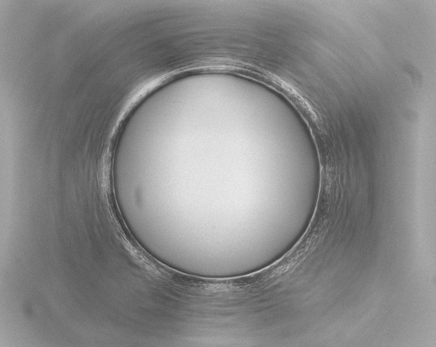 X0000116391421200912231100