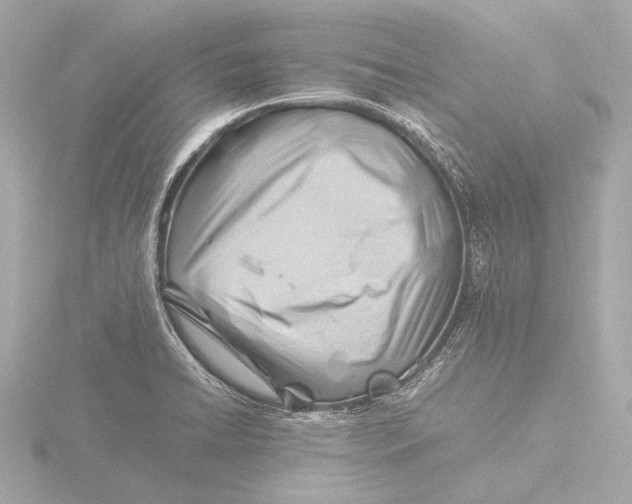 X0000116391422200912231100