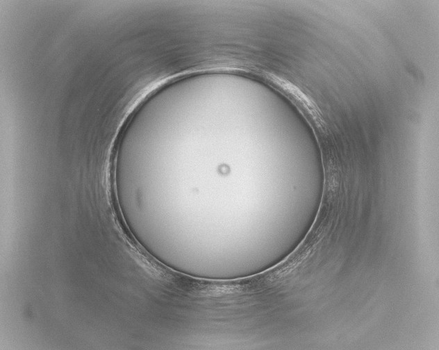 X0000116391423200912231100