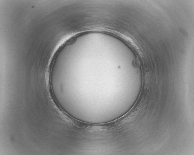 X0000116391424200912231100