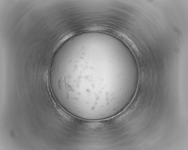 X0000116391425200912231100