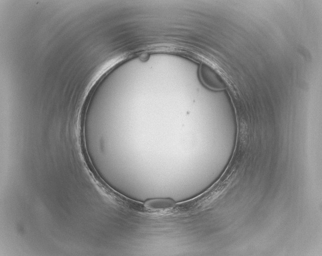 X0000116391426200912231100