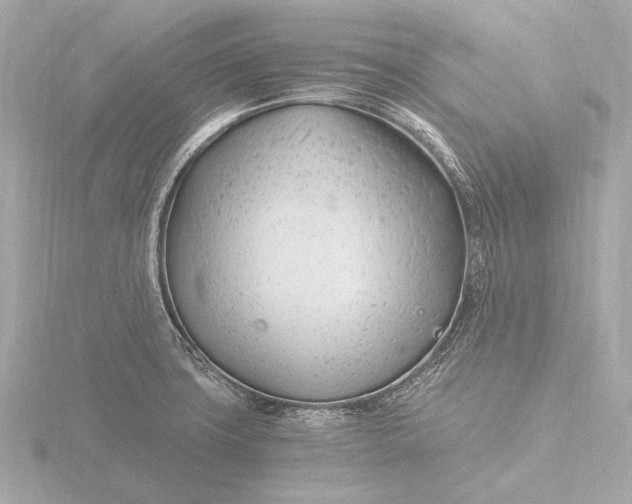 X0000116391427200912231100