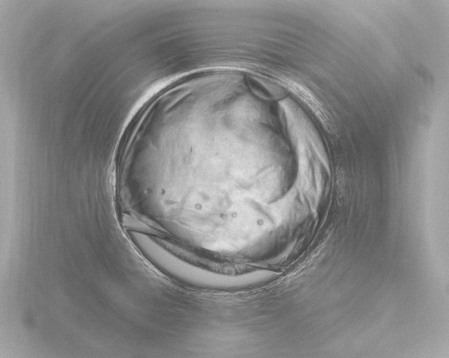 X0000116391428200912231100