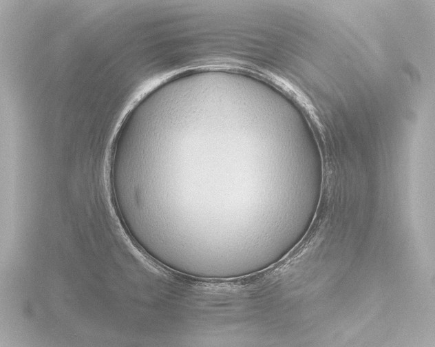 X0000116391429200912231100