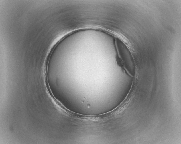 X0000116391430200912231101