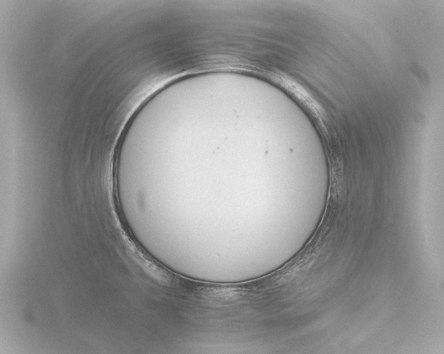 X0000116391431200912231101