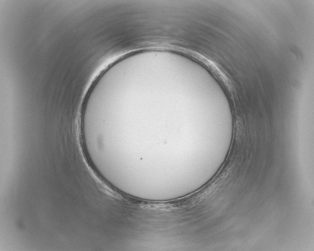 X0000116391432200912231101