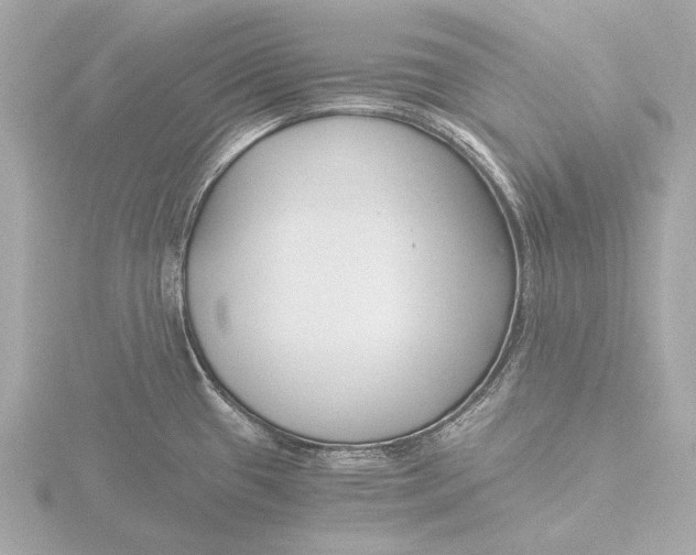 X0000116391433200912231101