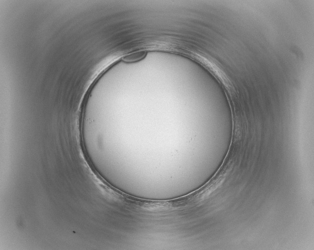 X0000116391434200912231101