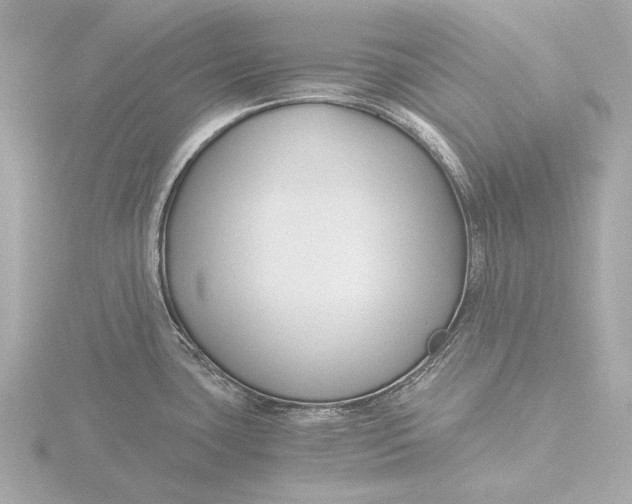 X0000116391435200912231101