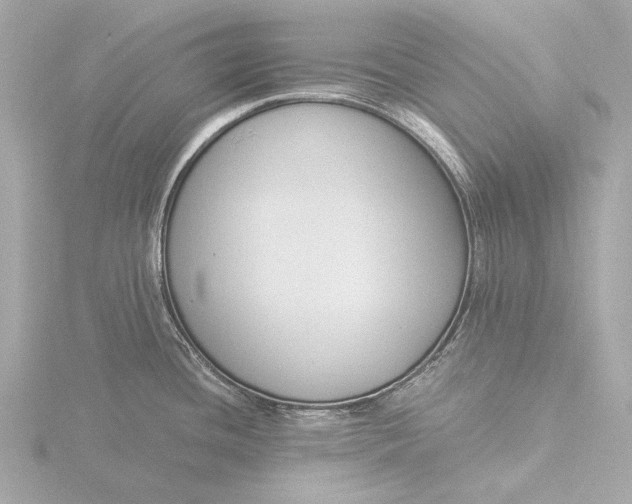 X0000116391436200912231101