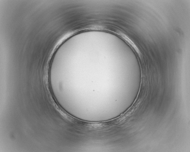 X0000116391437200912231101