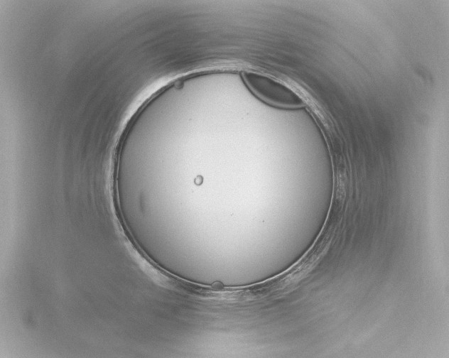 X0000116391438200912231101